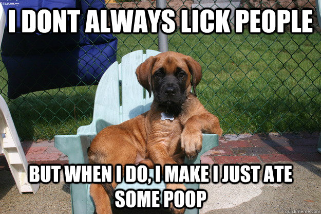 i dont always lick people but when i do, i make i just ate some poop  The Most Interesting Dog in the World