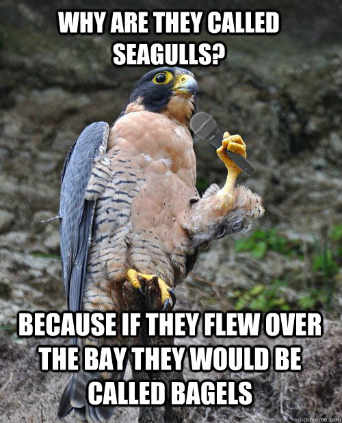Why are they called seagulls? because if they flew over the bay they would be called bagels  