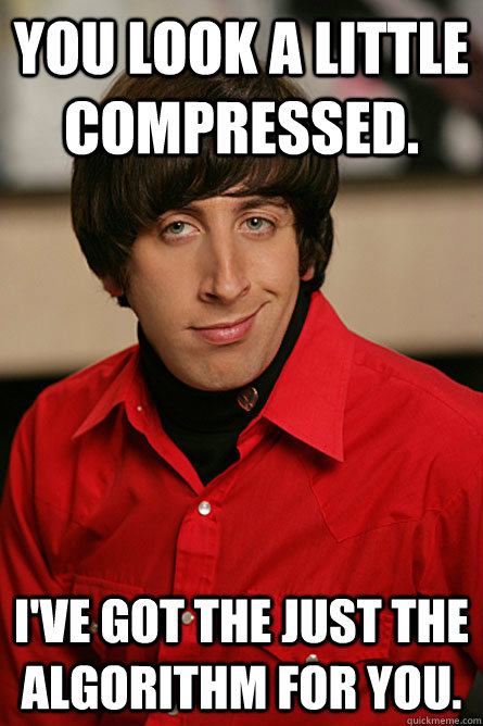 You look a little compressed. I've got the just the algorithm for you. - You look a little compressed. I've got the just the algorithm for you.  Pickup Line Scientist