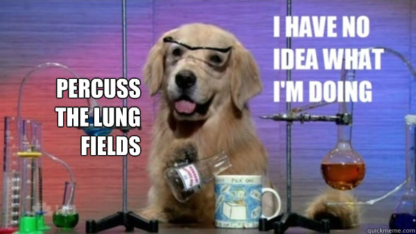 science dog memes | quickmeme