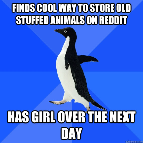 Finds cool way to store old stuffed animals on reddit Has girl over the next day  Socially Awkward Penguin