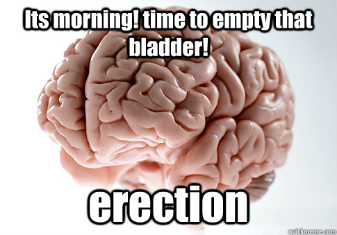 Its morning! time to empty that bladder! erection   Scumbag Brain