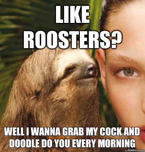 Like roosters? Well I wanna grab my cock and doodle do you every morning  - Like roosters? Well I wanna grab my cock and doodle do you every morning   rape sloth