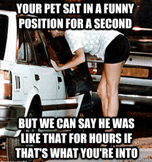 Your pet sat in a funny position for a second But we can say he was like that for hours if that's what you're into  Karma Whore
