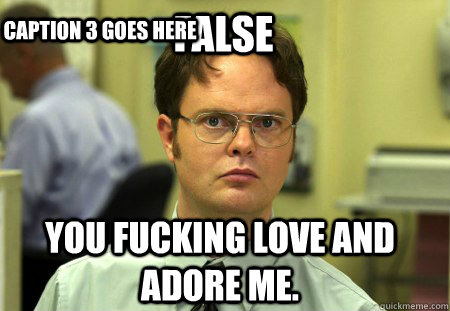 False You fucking love and adore me. Caption 3 goes here  Schrute