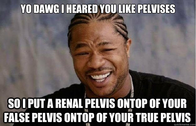 Yo dawg I heared you like pelvises So I put a renal pelvis ontop of your false pelvis ontop of your true pelvis  Xzibit Yo Dawg