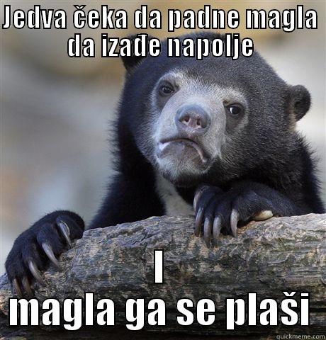 JEDVA ČEKA DA PADNE MAGLA DA IZAĐE NAPOLJE I MAGLA GA SE PLAŠI Confession Bear