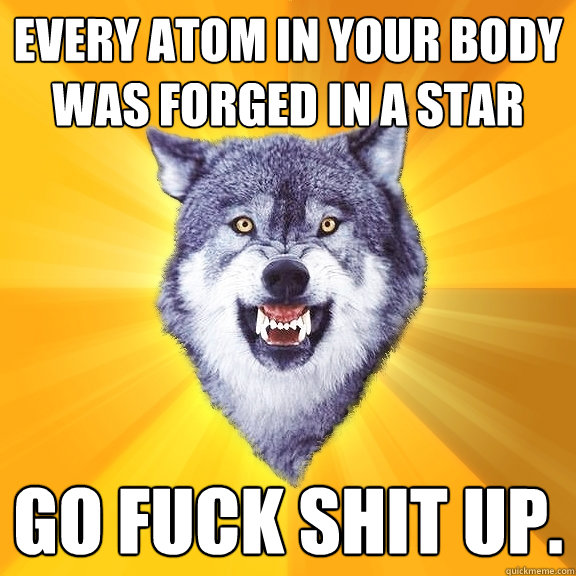 every atom in your body was forged in a star GO FUCK SHIT UP.  Courage Wolf