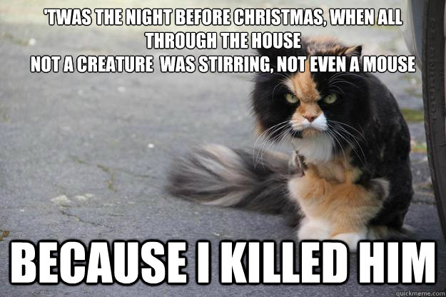 'twas the night before christmas, when all through the house
not a creature  was stirring, not even a mouse Because i killed him  Angry Cat