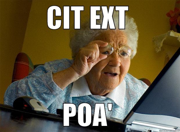 CIT EXT POA' Grandma finds the Internet