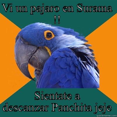 VI UN PAJARO EN SURAMA !! SIENTATE A DESCANZAR PANCHITA JEJE Paranoid Parrot