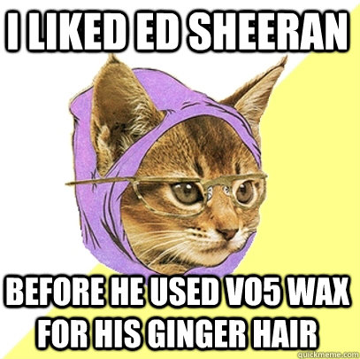 I liked Ed Sheeran Before he used Vo5 wax for his ginger hair  Hipster Kitty