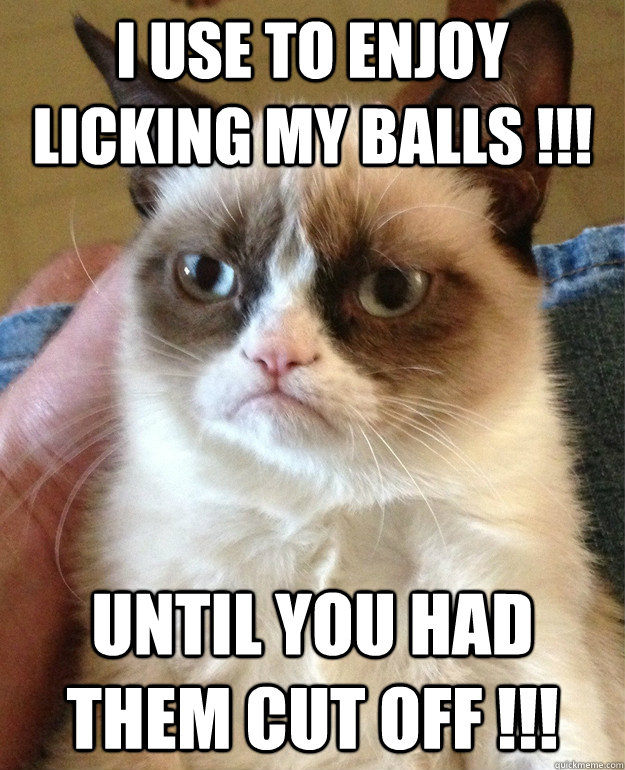 i use to enjoy licking my balls !!! until you had them CUT OFF !!!  Grumpy Cat