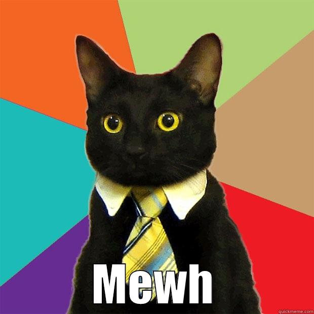  MEWH Business Cat