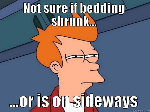 NOT SURE IF BEDDING SHRUNK...     ...OR IS ON SIDEWAYS    Futurama Fry