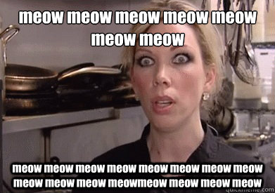 meow meow meow meow meow meow meow meow meow meow meow meow meow meow meow meow meow meow meowmeow meow meow meow  Crazy Amy