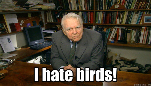  I hate birds! -  I hate birds!  Andy Rooney