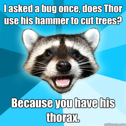 I asked a bug once, does Thor use his hammer to cut trees? Because you have his thorax.  Lame Pun Coon