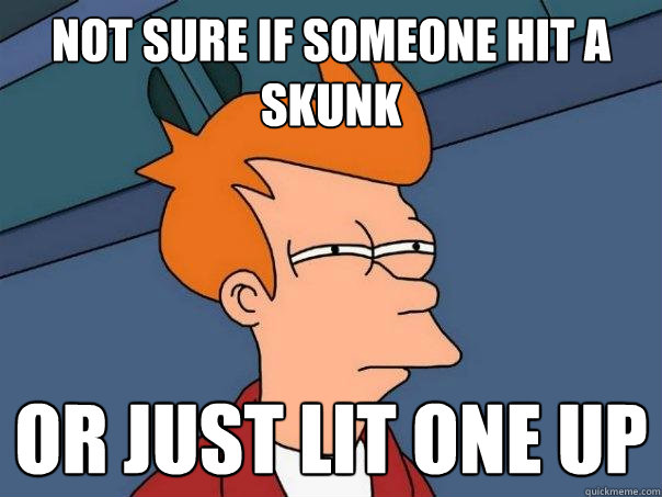 Not sure if someone hit a skunk Or just lit one up  Futurama Fry