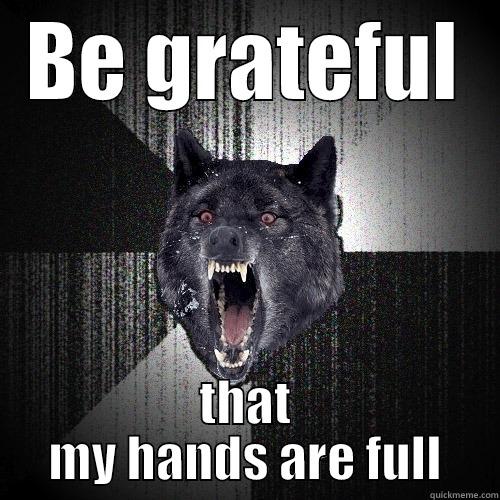 BE GRATEFUL THAT MY HANDS ARE FULL Insanity Wolf