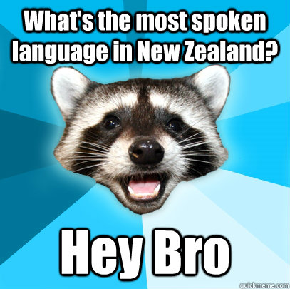 What's the most spoken language in New Zealand? Hey Bro   Lame Pun Coon