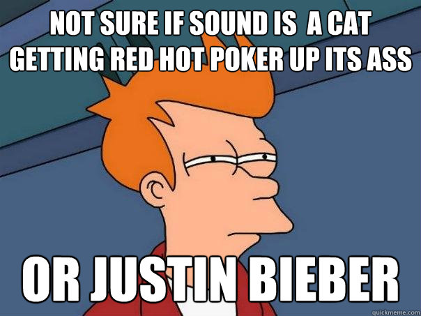 Not sure if sound is  a cat  getting red hot poker up its ass Or Justin bieber  Futurama Fry