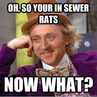 Oh, so your in sewer rats Now what?  Condescending Wonka