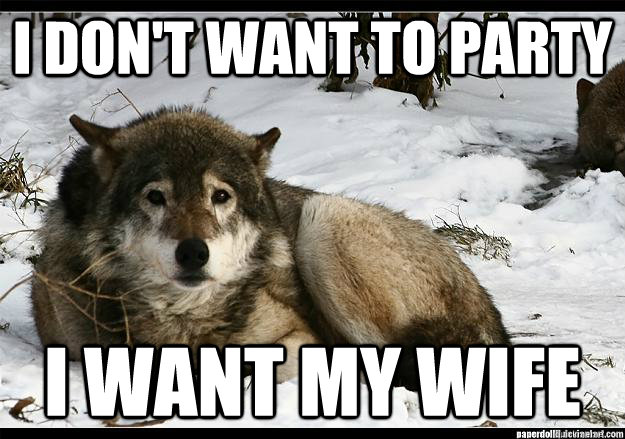 I don't want to party i want my wife - I don't want to party i want my wife  Misc
