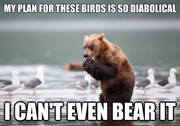 My plan for these birds is so diabolical I can't even bear it - My plan for these birds is so diabolical I can't even bear it  Misc