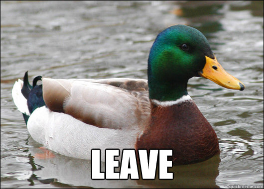  Leave  Actual Advice Mallard