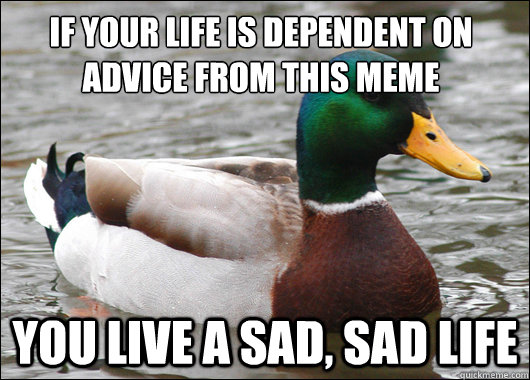 If your life is dependent on advice from this meme you live a sad, sad life  Actual Advice Mallard