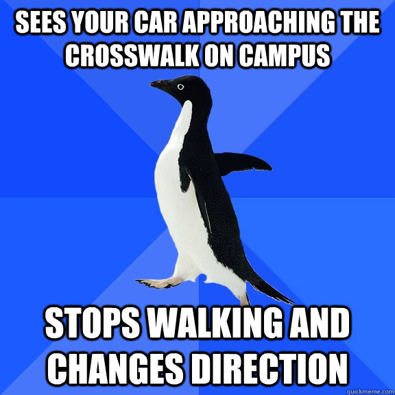 sees your car approaching the crosswalk on campus stops walking and changes direction  Socially Awkward Penguin