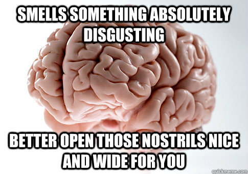 SMELLS SOMETHING ABSOLUTELY DISGUSTING BETTER OPEN THOSE NOSTRILS NICE AND WIDE FOR YOU   Scumbag Brain