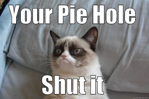 YOUR PIE HOLE SHUT IT Grumpy Cat