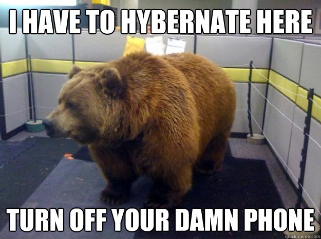 i have to hybernate here turn off your damn phone  Office Grizzly