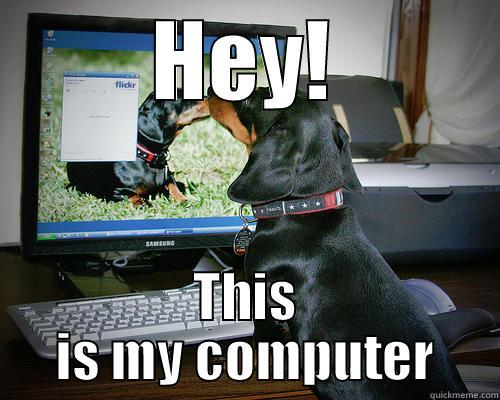 HEY! THIS IS MY COMPUTER Misc