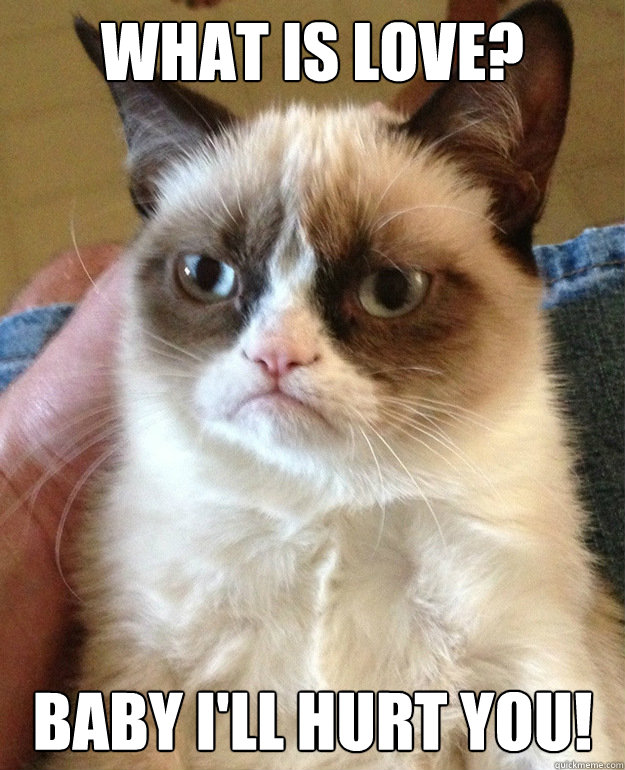 WHAT IS LOVE? BABY I'LL HURT YOU!  grumpycat
