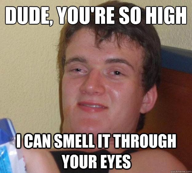 Dude, You're So High  I Can Smell It Through Your Eyes  10 Guy