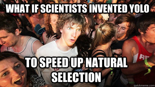 what if scientists invented YOLO to speed up natural selection  Sudden Clarity Clarence