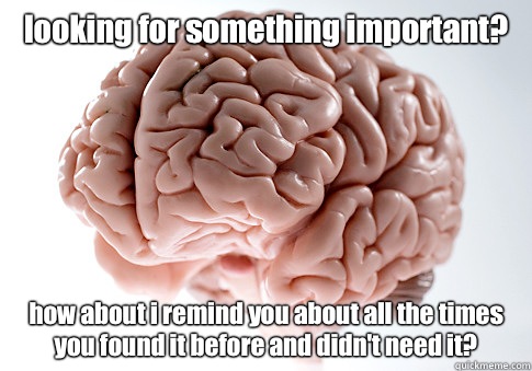 looking for something important? how about i remind you about all the times you found it before and didn't need it?  Scumbag Brain