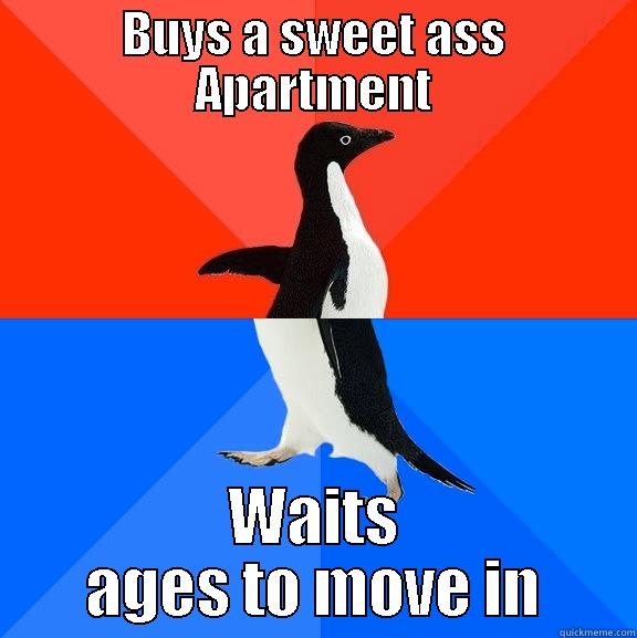 BUYS A SWEET ASS APARTMENT WAITS AGES TO MOVE IN Socially Awesome Awkward Penguin