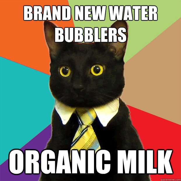 Brand new water bubblers organic milk  Business Cat
