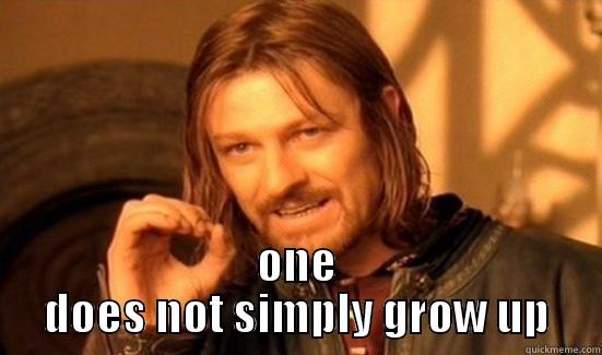  ONE DOES NOT SIMPLY GROW UP Boromir