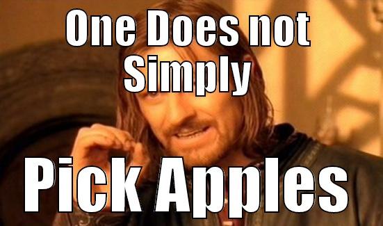 ONE DOES NOT SIMPLY PICK APPLES Boromir