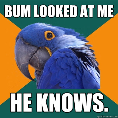 Bum looked at me he knows.  Paranoid Parrot