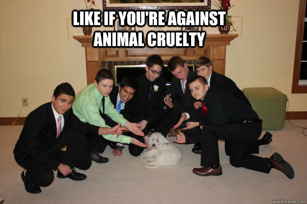 Like if you're against Animal Cruelty - Like if you're against Animal Cruelty  Misc