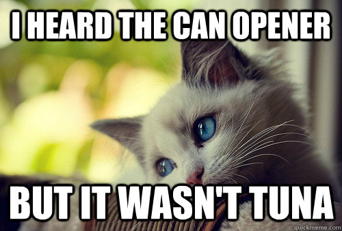 I heard the can opener but it wasn't tuna  First World Problems Cat