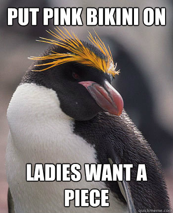 Put pink bikini on Ladies want a piece   Socially Overconfident Penguin