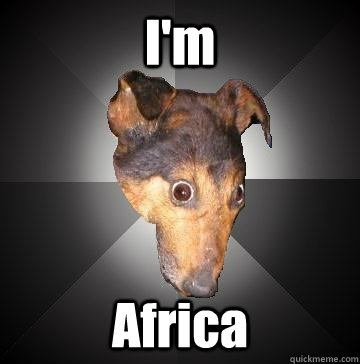 I'm Africa - I'm Africa  Depression Dog