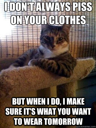 i don't always piss on your clothes but when i do, i make sure it's what you want to wear tomorrow  The Most Interesting Cat in the World